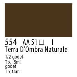 554 - Winsor & Newton Professional Terra d'ombra naturale