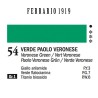 054 - Ferrario Olio 1919 Verde paolo veronese