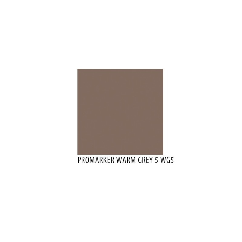 Promarker warm grey 5 wg5