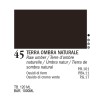 45 - Ferrario Acrylic Master Terra d'ombra naturale