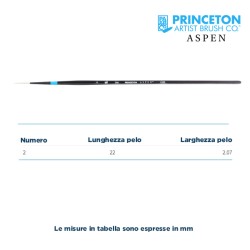 Princeton Aspen Serie n.P6500 pennello setola sintetica liner, manico lungo