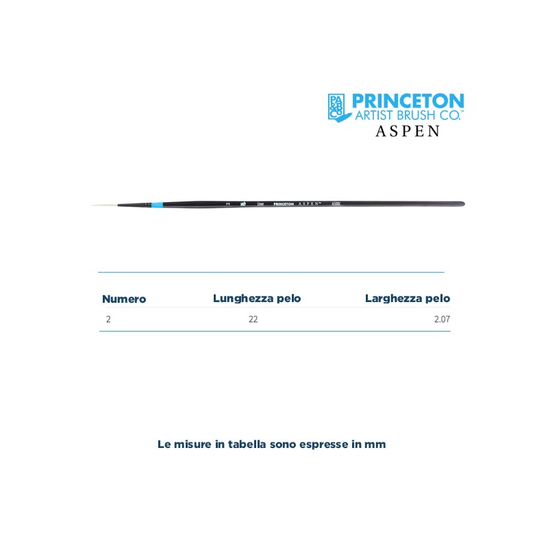 Princeton Aspen Serie n.P6500 pennello setola sintetica liner, manico lungo